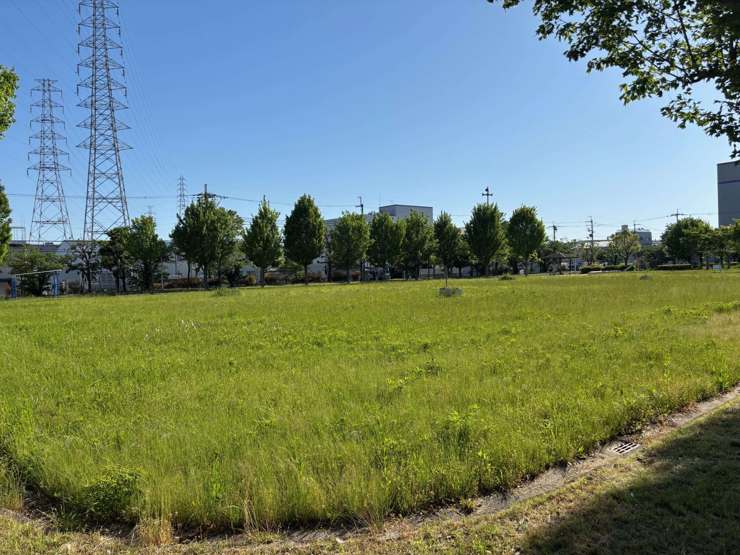 芝生広場と送電線