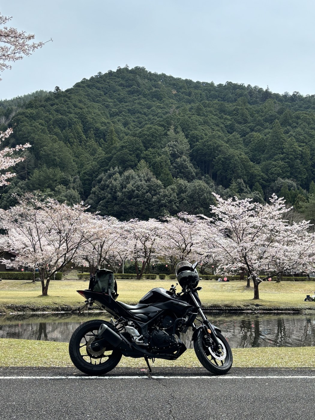 池の前にバイク、背景に桜と山