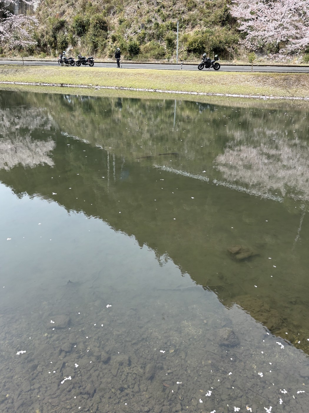 池の水面に映るバイクたち