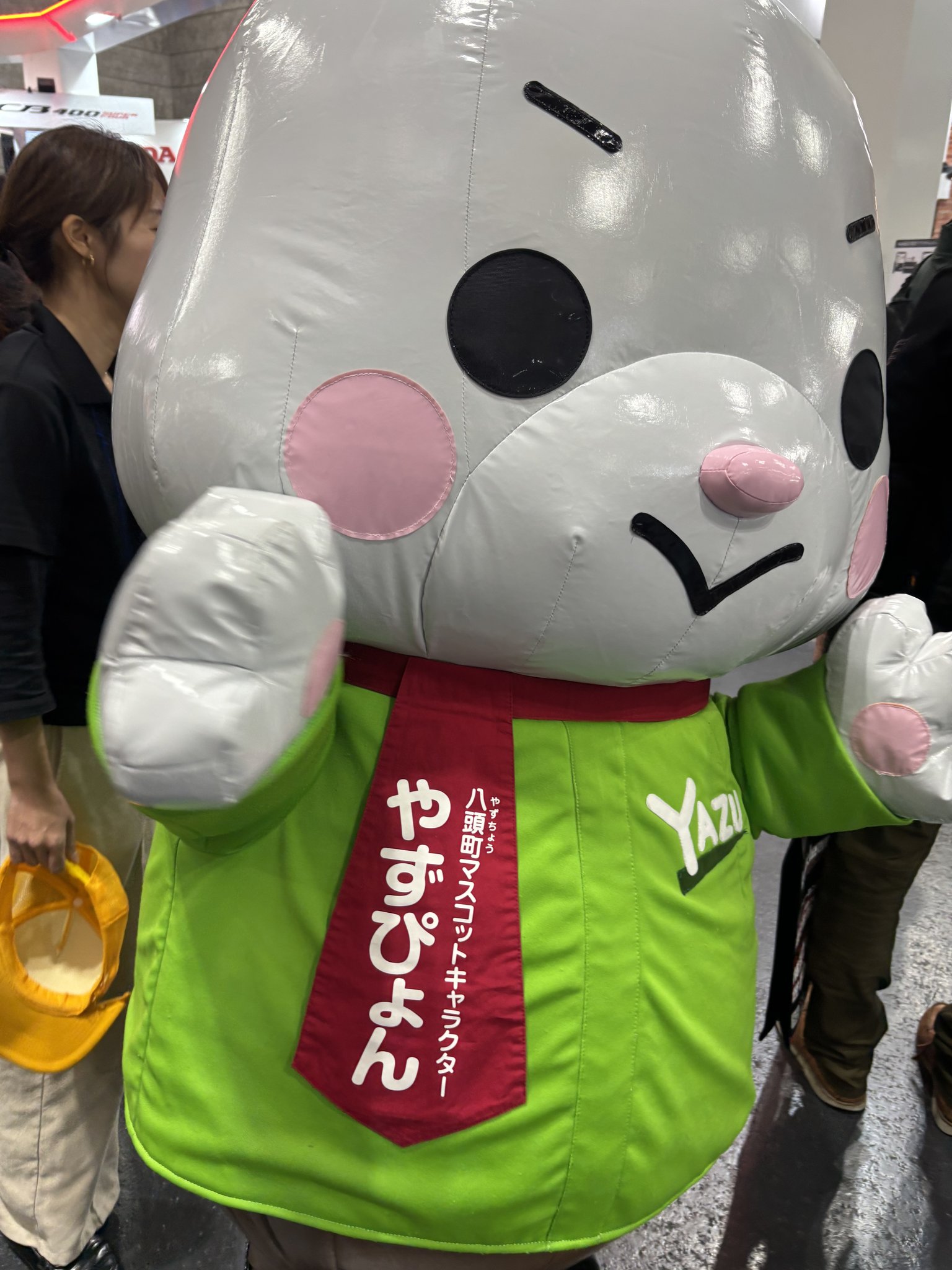 やずぴょん 八頭町マスコットキャラクター
