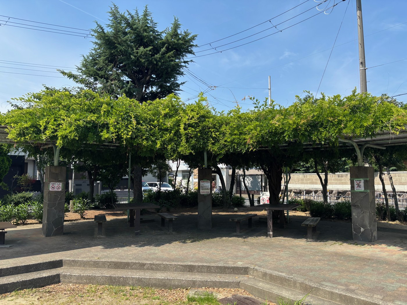 藤棚と休憩エリア