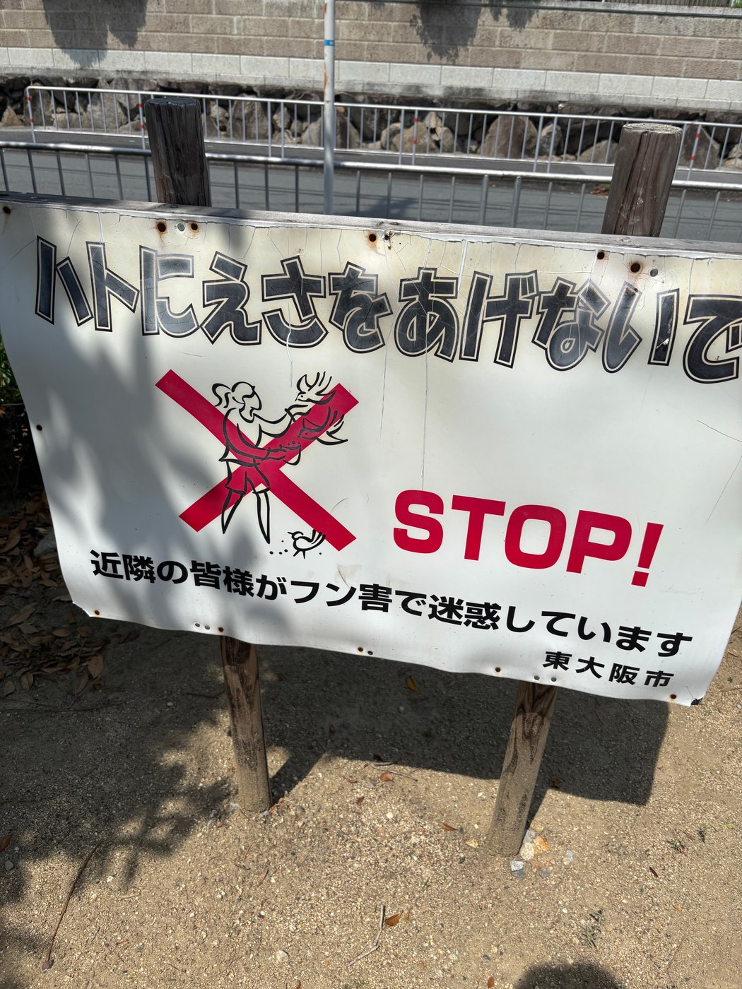 ハトにえさをあげないでの看板
