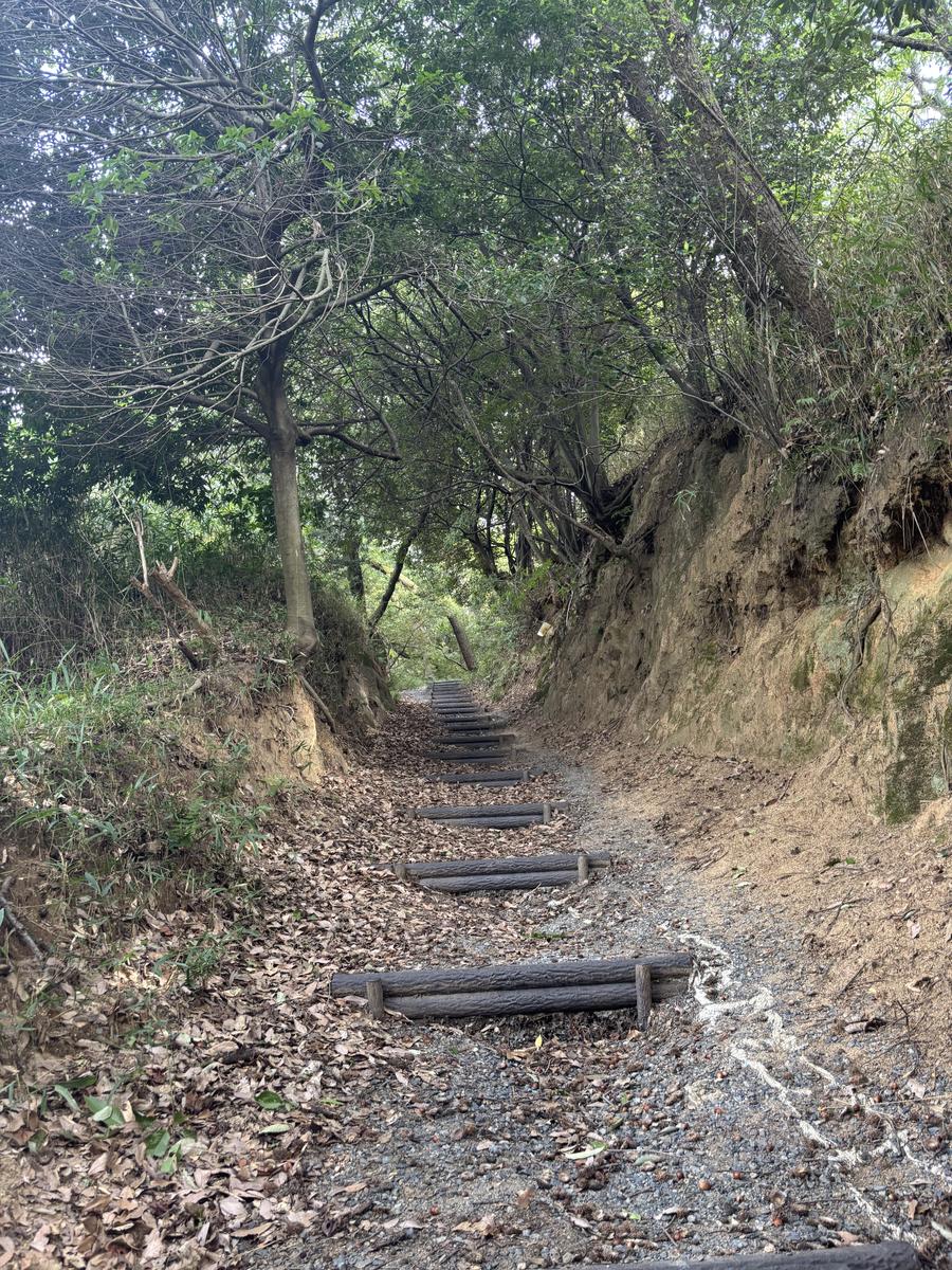 古墳群への山道