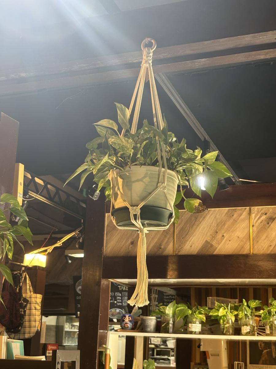 吊り下げの鉢植え