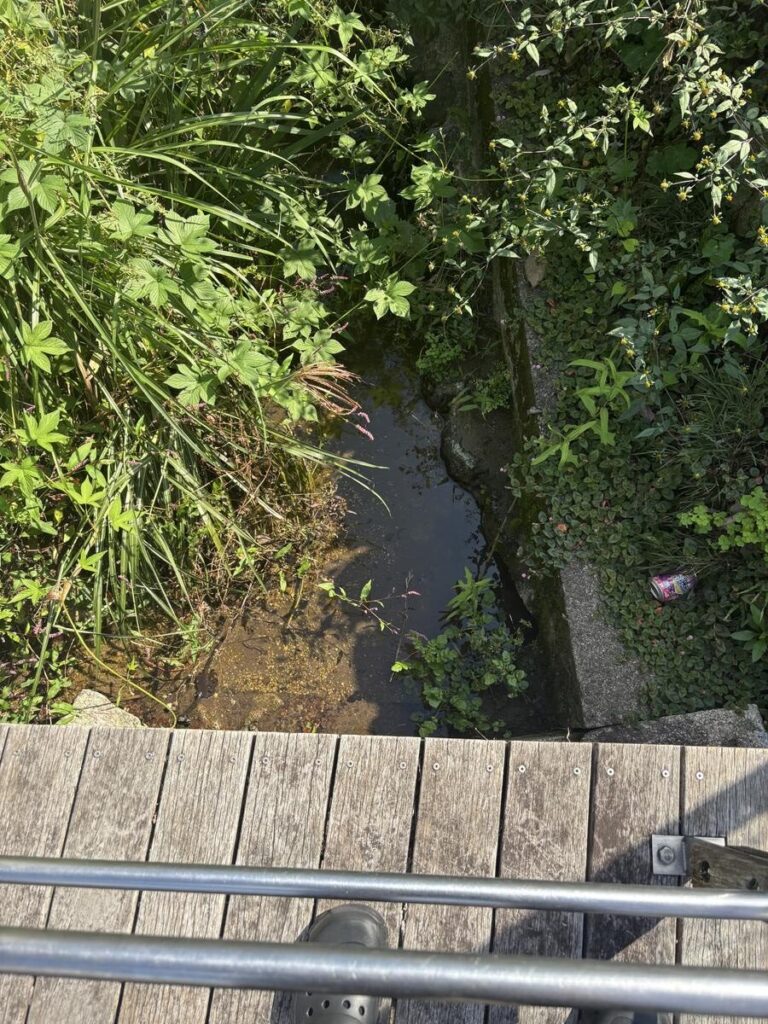 ホタルの住む小川